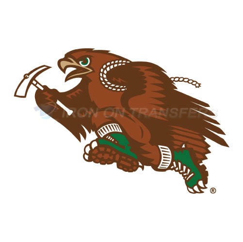 Lehigh Mountain Hawks Logo T-shirts Iron On Transfers N4780
